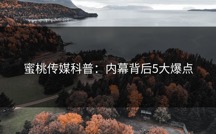 蜜桃传媒科普：内幕背后5大爆点